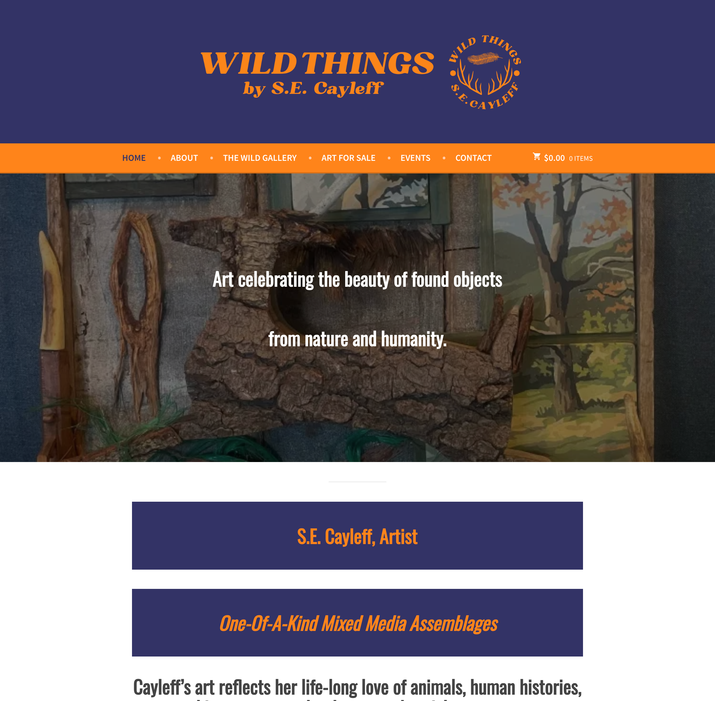 Wild Things Studio
